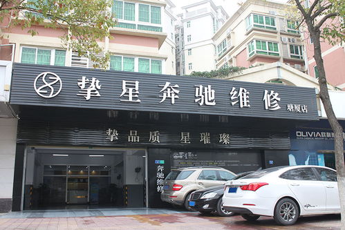 汽車(chē)備胎升降器報(bào)價(jià) 廠家